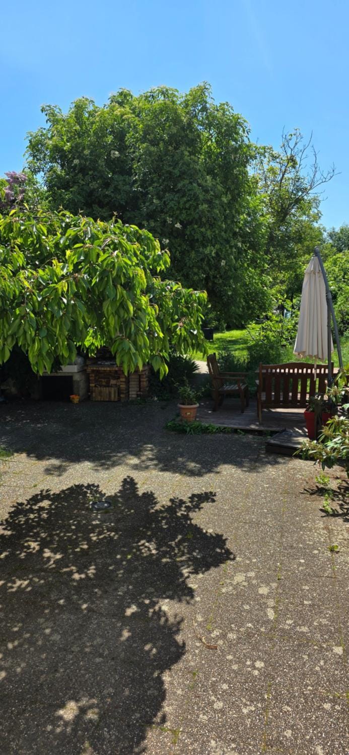 Patio, Garden