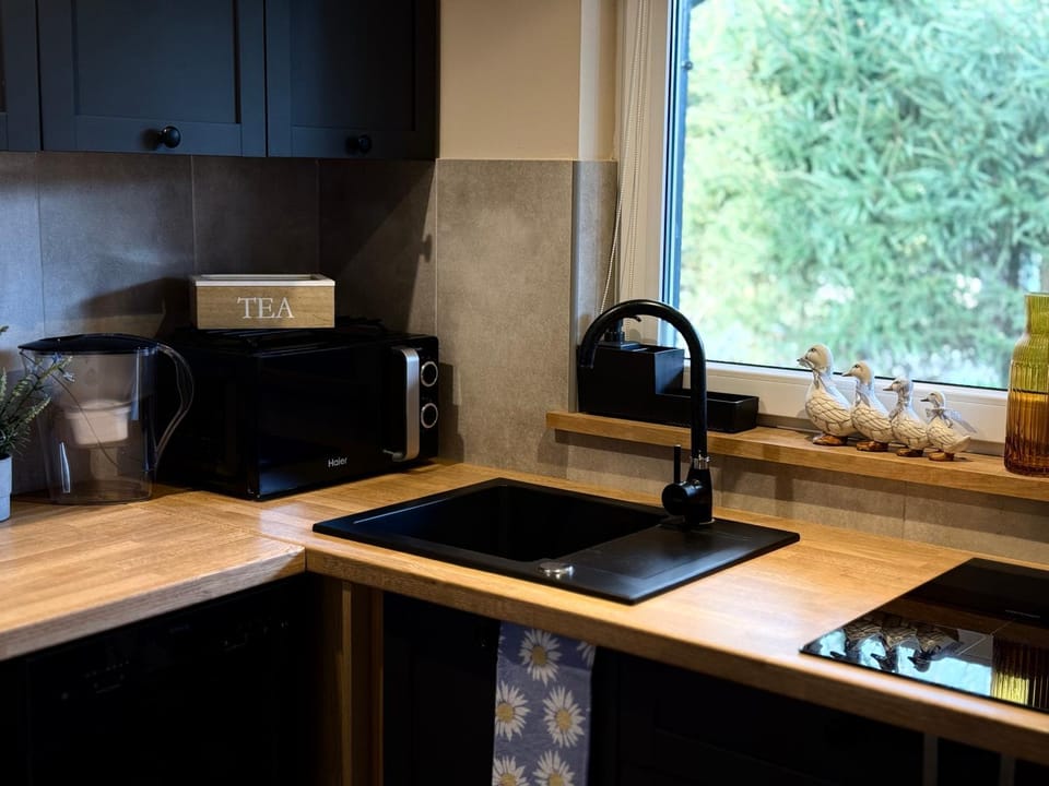 Kitchen or kitchenette, dishwasher, pet friendly, stove