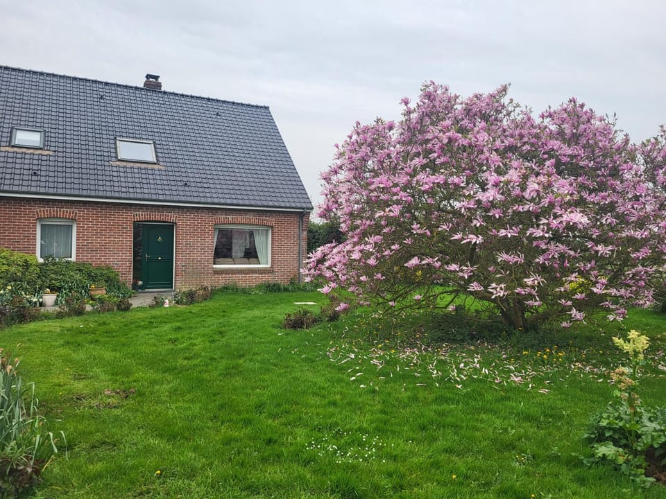 Property building, Garden view