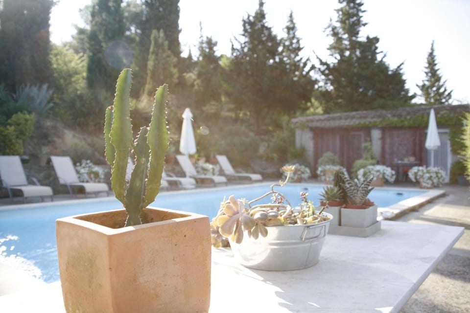 Pool view