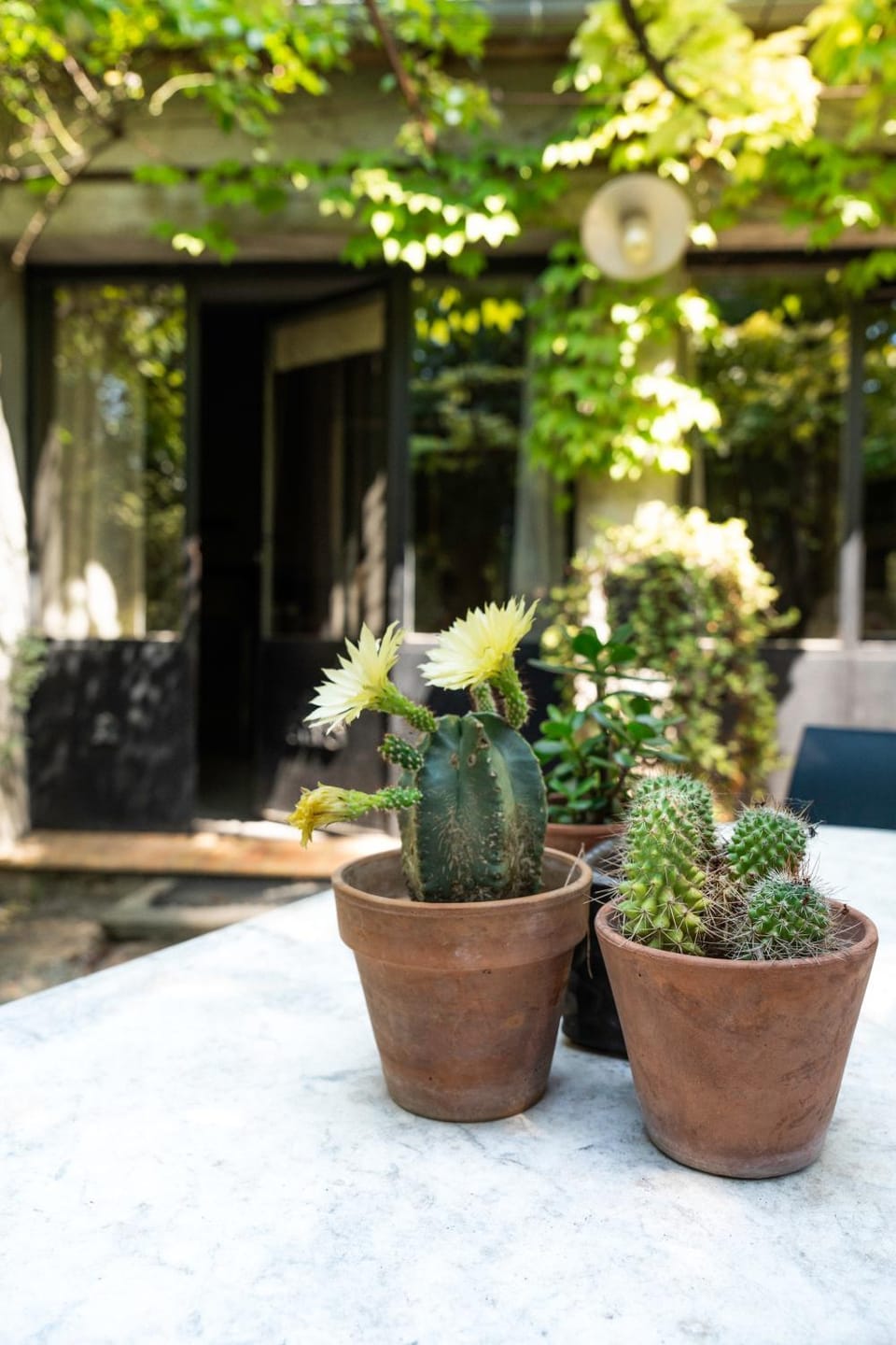 La Maison sur la Colline Bed and Breakfast in Carcassonne