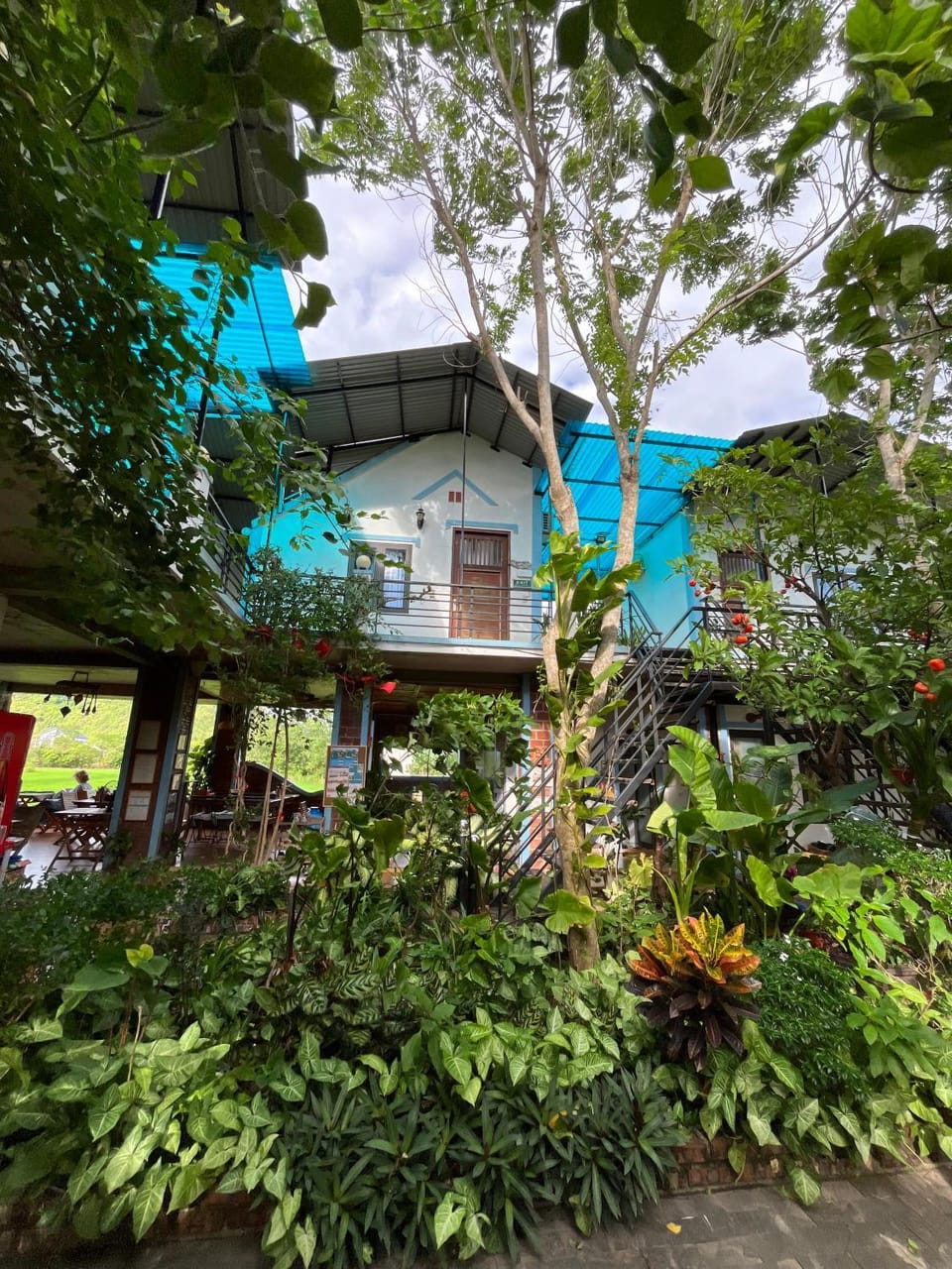 Garden, Garden, Living room