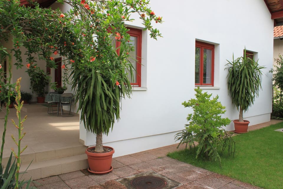Boulevard Garden House - Free and save parking in the locked yard Free wi-fi Bed and Breakfast in Serbia