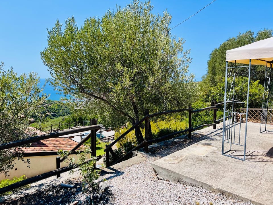 Garden, Garden view