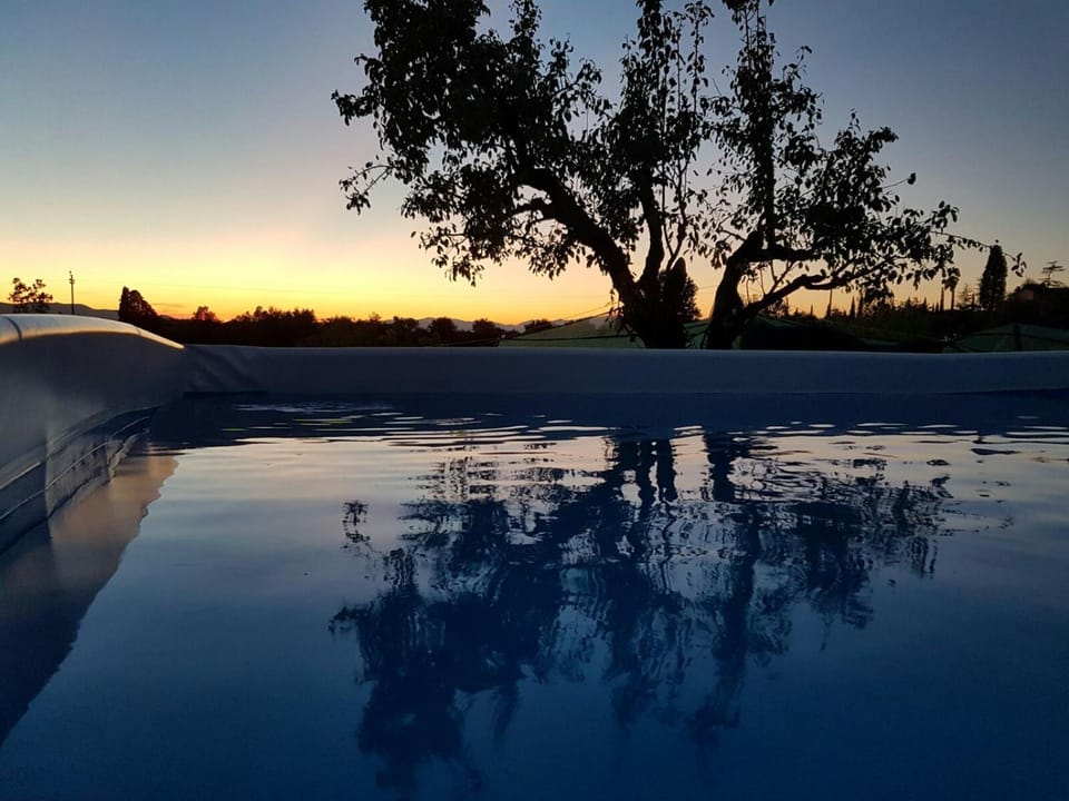 Swimming pool, Swimming pool