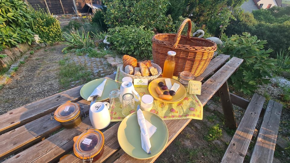 Day, Garden, Food and drinks, Food, Garden view, Breakfast, Breakfast, Continental breakfast, Drinks