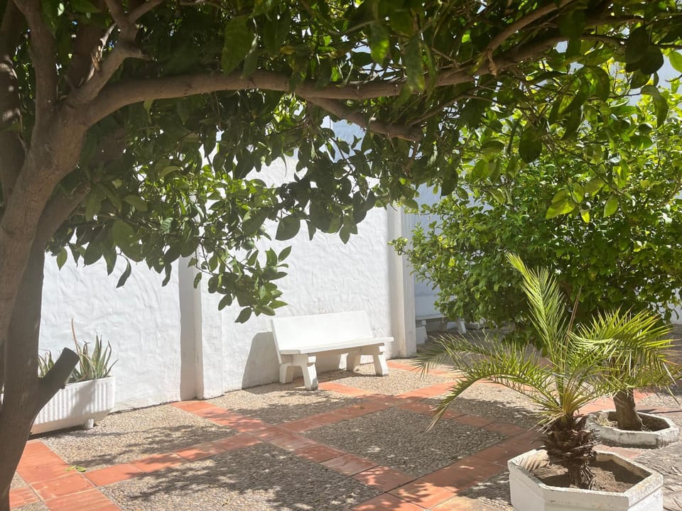 Castillo Apartment in Conil de la Frontera