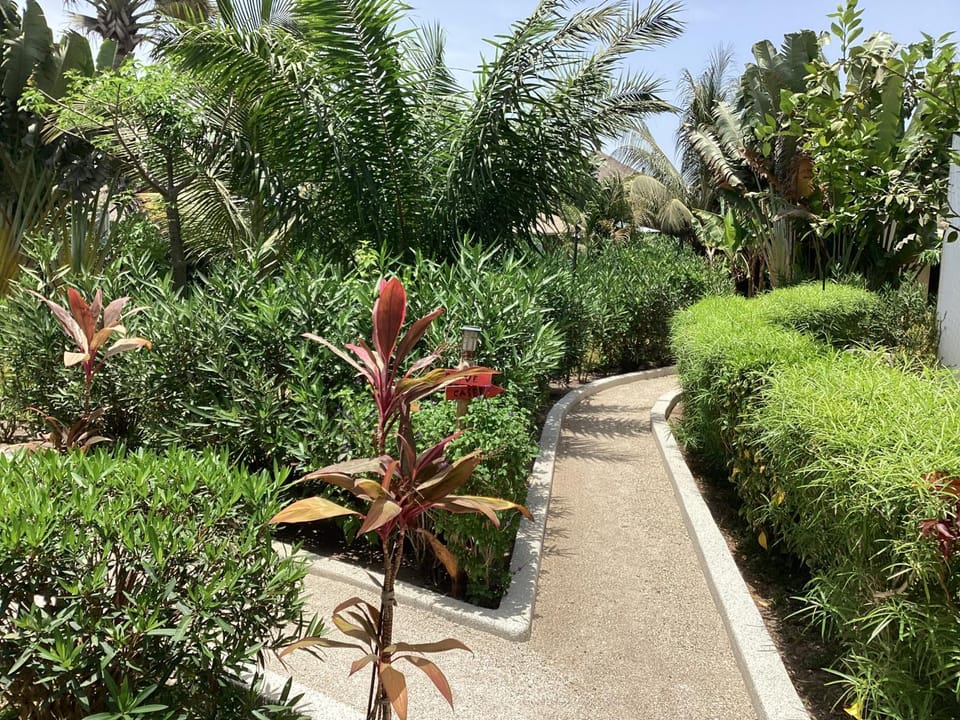 PACOTOUTY LODGE Bed and Breakfast in Senegal