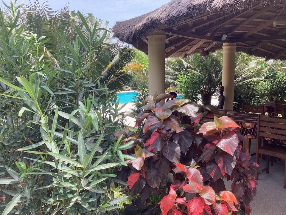 PACOTOUTY LODGE Bed and Breakfast in Senegal