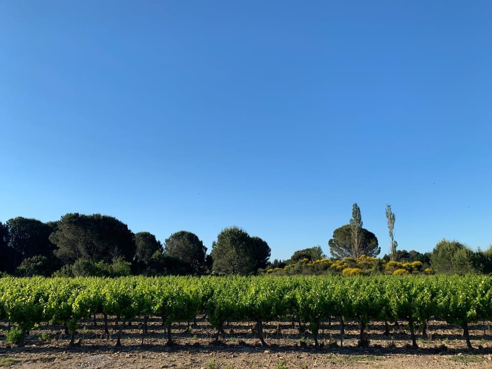 Chez Lydia - Face vignoble, Idéal famille, Billard House in Rochefort-du-Gard