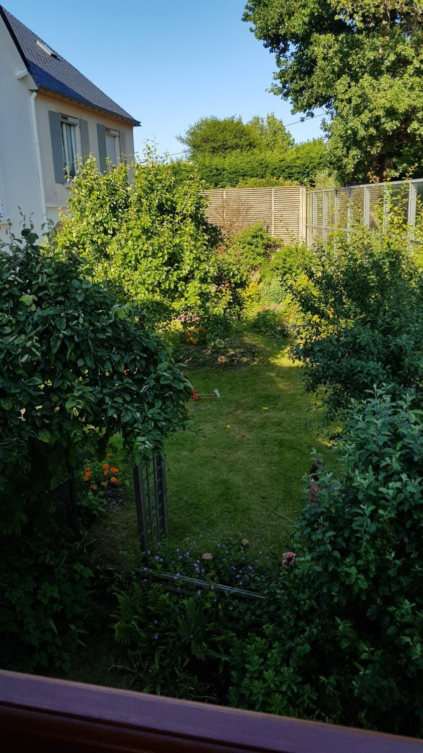 View (from property/room)