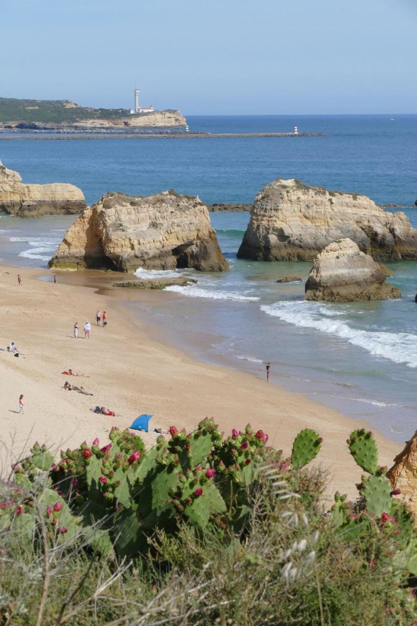 Natural landscape, Beach