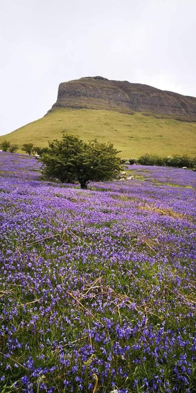 Nearby landmark, Natural landscape