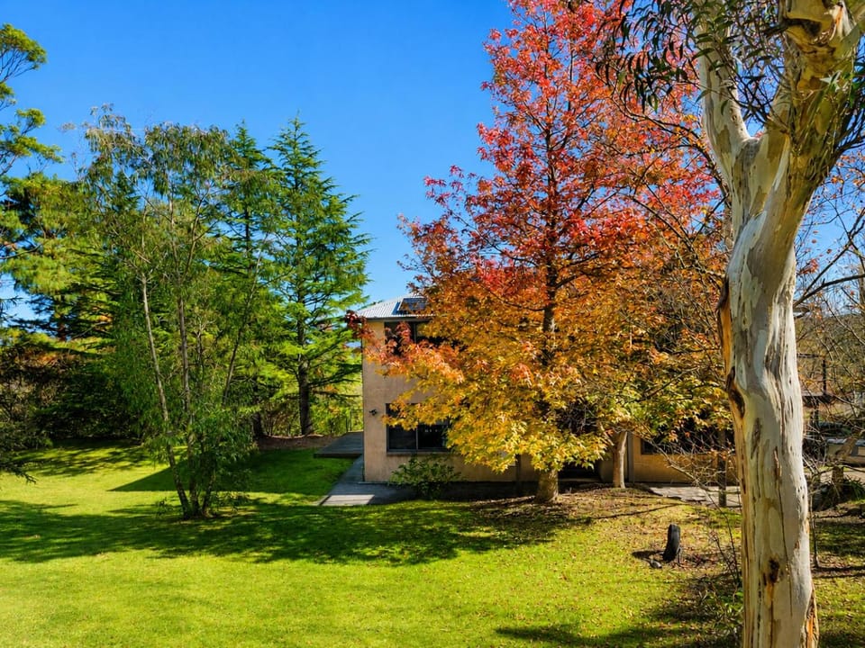 Narrow Neck Views - Peaceful 4 Bedroom Home with Stunning Views! House in Katoomba