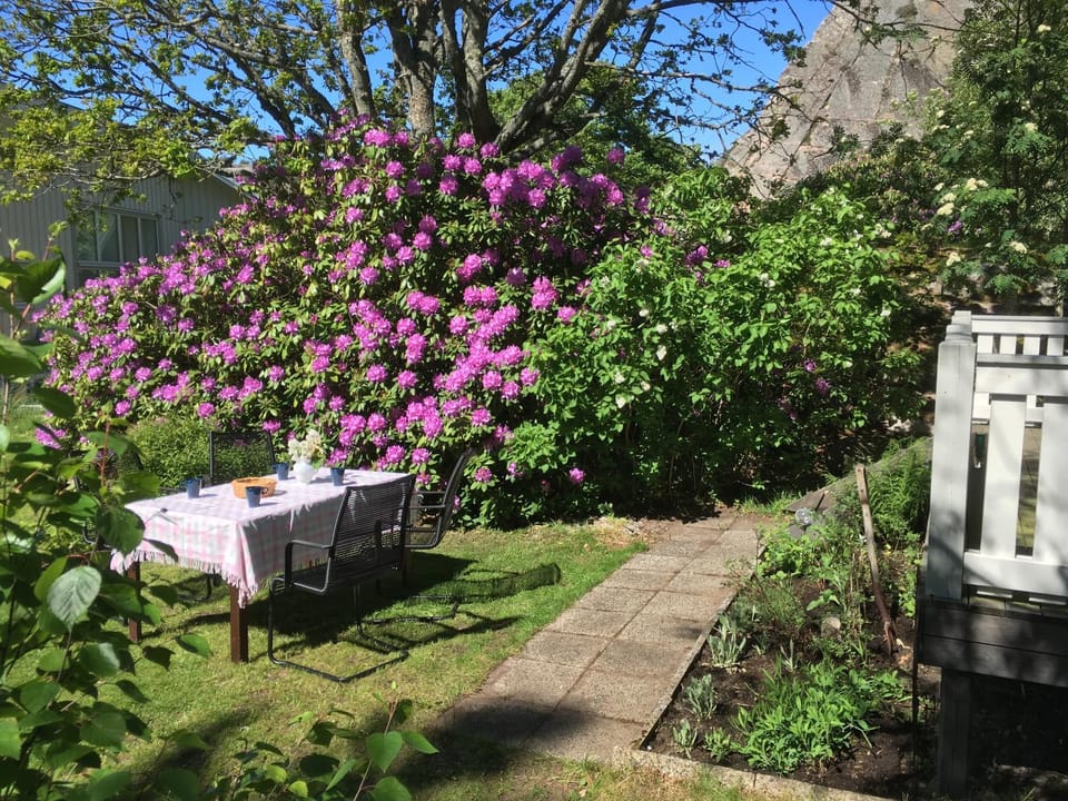 Patio, Day, BBQ facilities, Garden, On site, Garden view