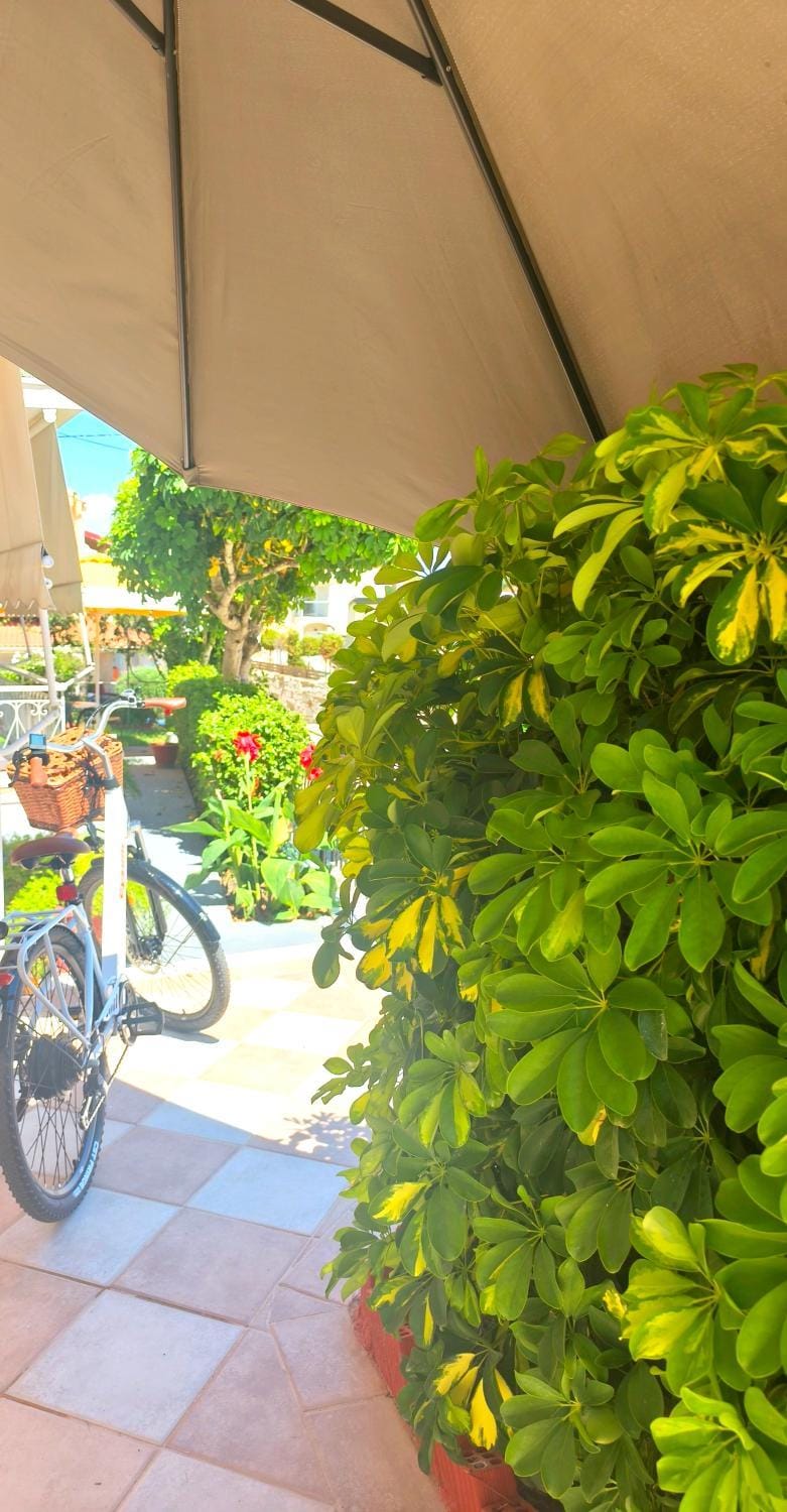 Vicky's Guesthouse Apartment in Peloponnese, Western Greece and the Ionian