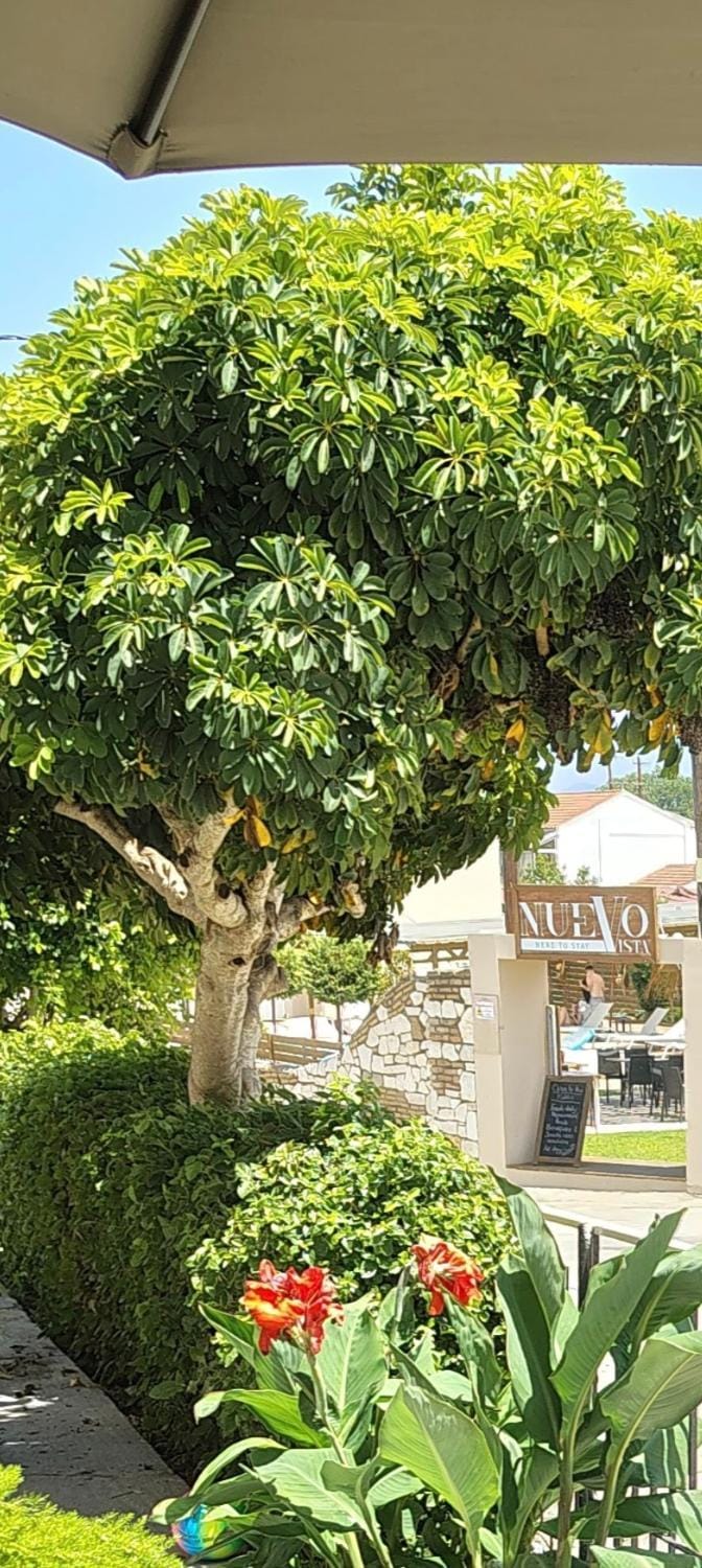 Vicky's Guesthouse Apartment in Corfu, Greece