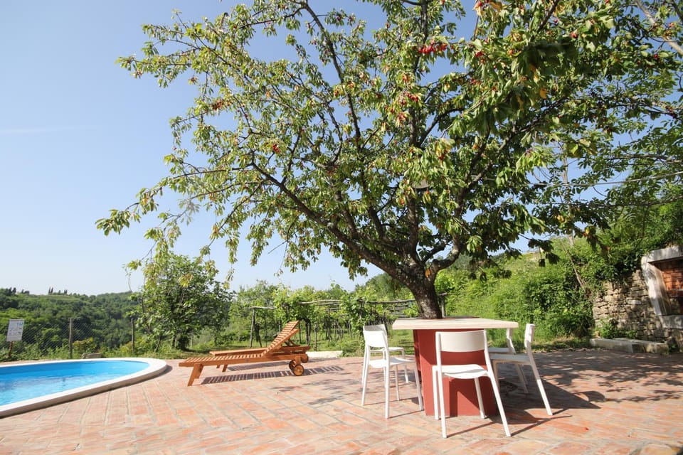Neighbourhood, Pets, Area and facilities, Swimming pool