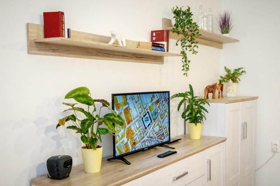 TV and multimedia