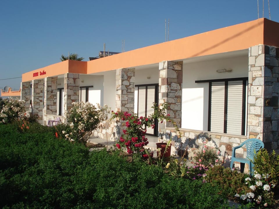 Bird's eye view, Garden