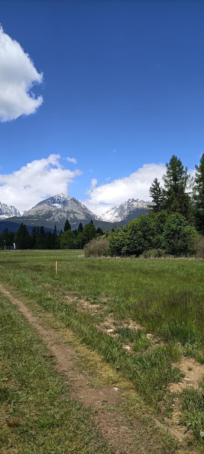 Spring, Mountain view