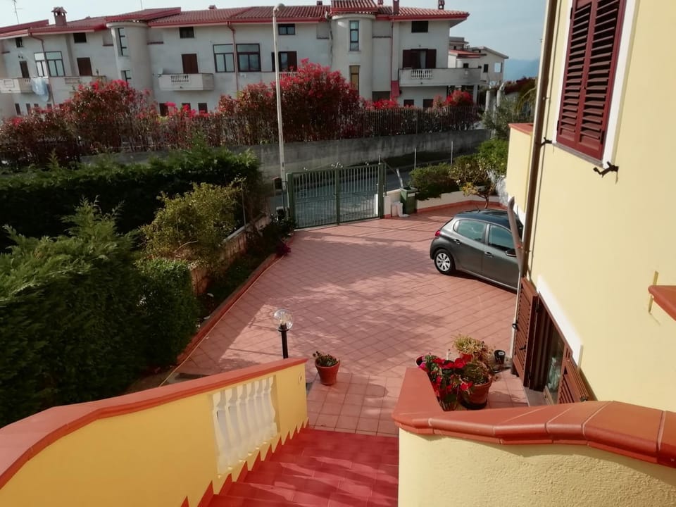 Garden, Street view