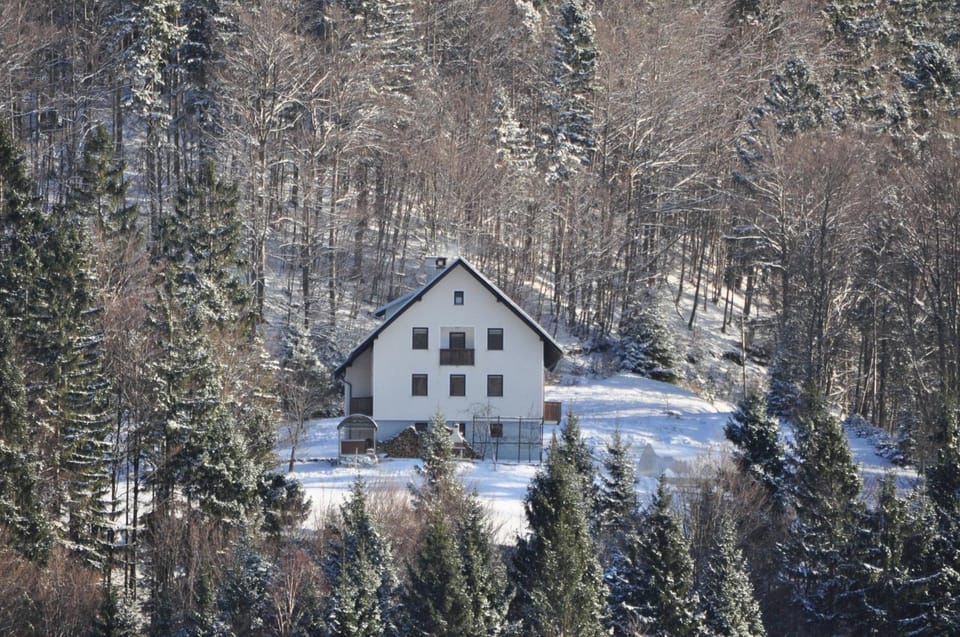 Property building, Winter