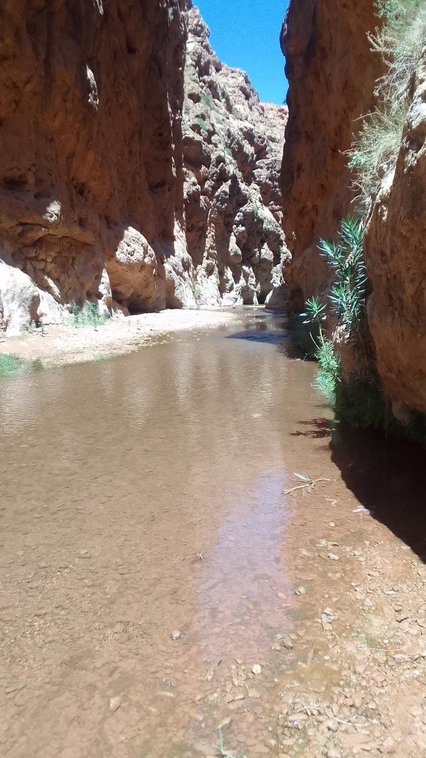 Maison D'hote Amazir DADES Bed and Breakfast in Morocco