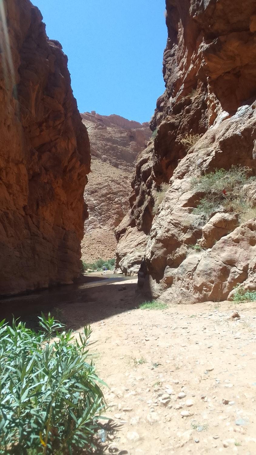 Maison D'hote Amazir DADES Bed and Breakfast in Morocco