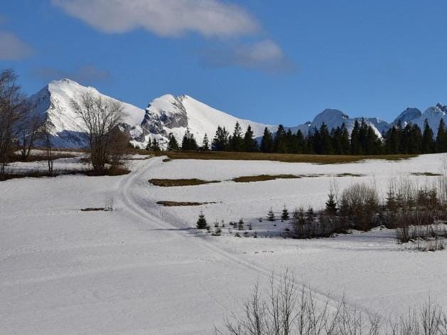 Mountain view