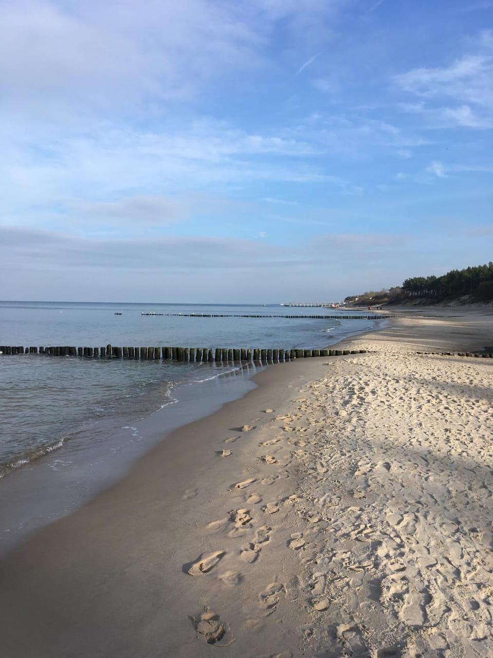 Day, Natural landscape, Beach