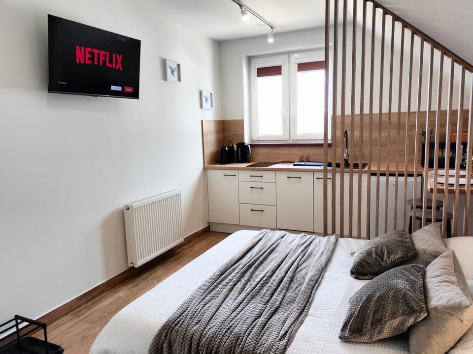 Bed, TV and multimedia, Living room, Photo of the whole room, Seating area, Bedroom