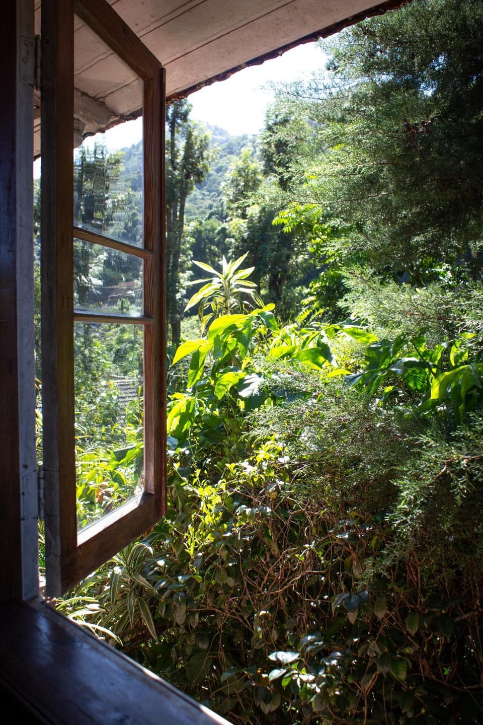 Natural landscape, Garden view