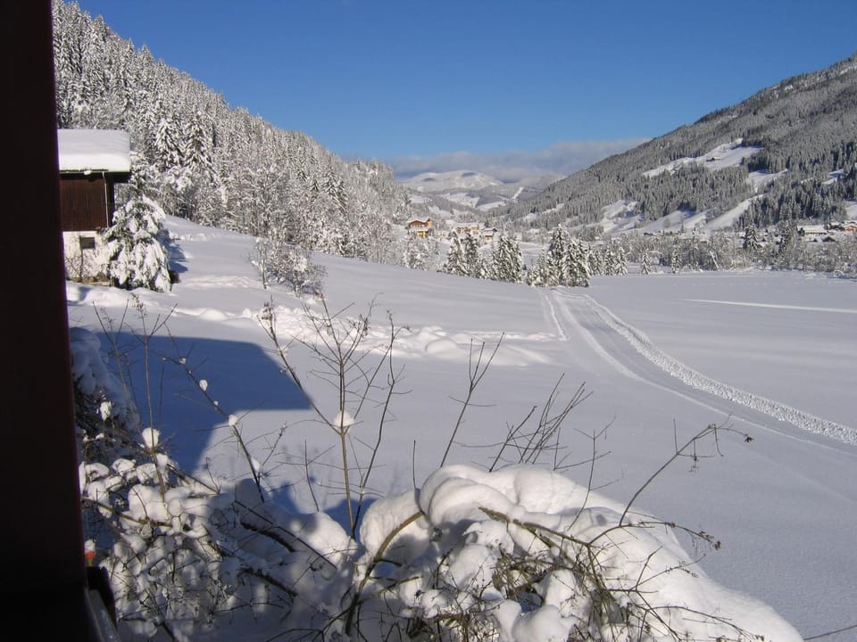 Natural landscape