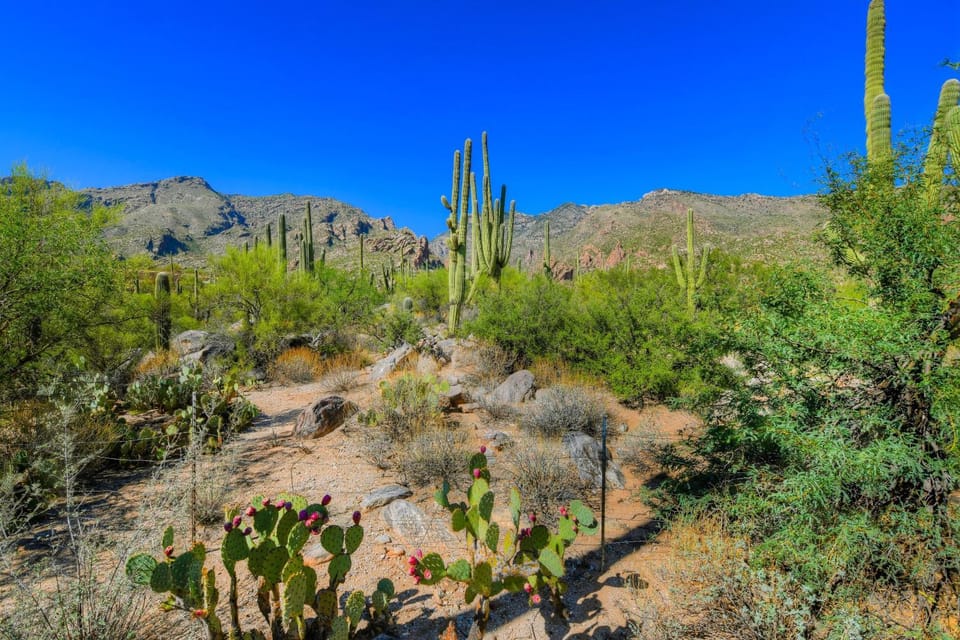 Ventana Canyon Retreat House in Catalina Foothills