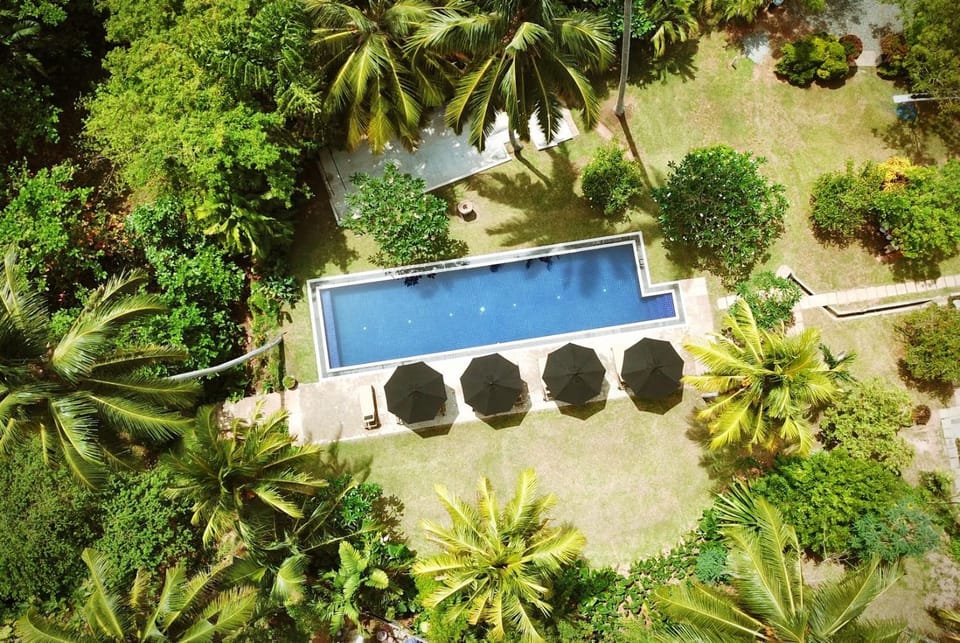 Bird's eye view, Pool view