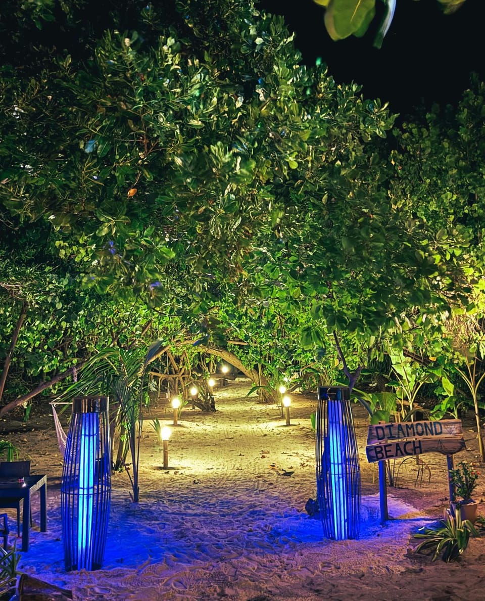 Garden view