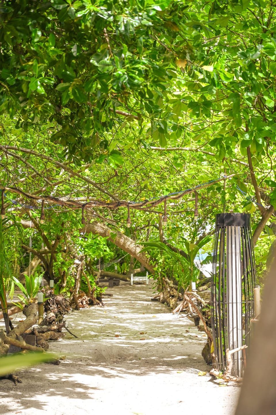 Natural landscape, Garden, Garden view