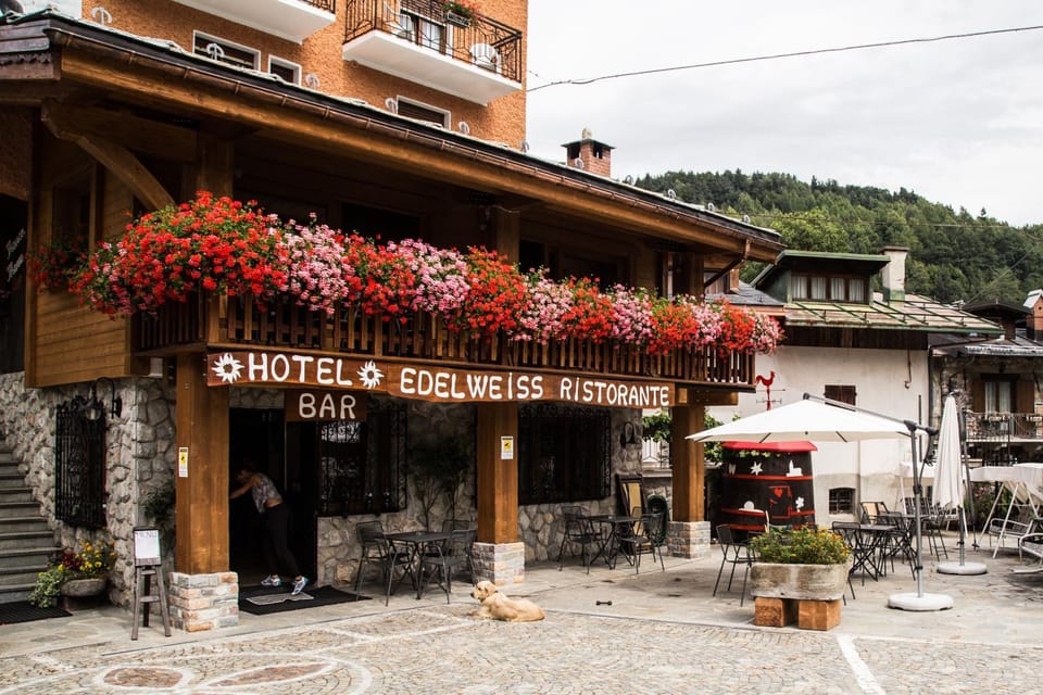 Patio, Facade/entrance, Spring