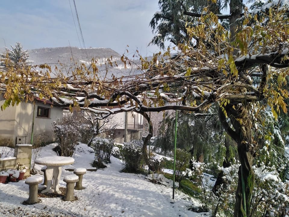 Inner courtyard view