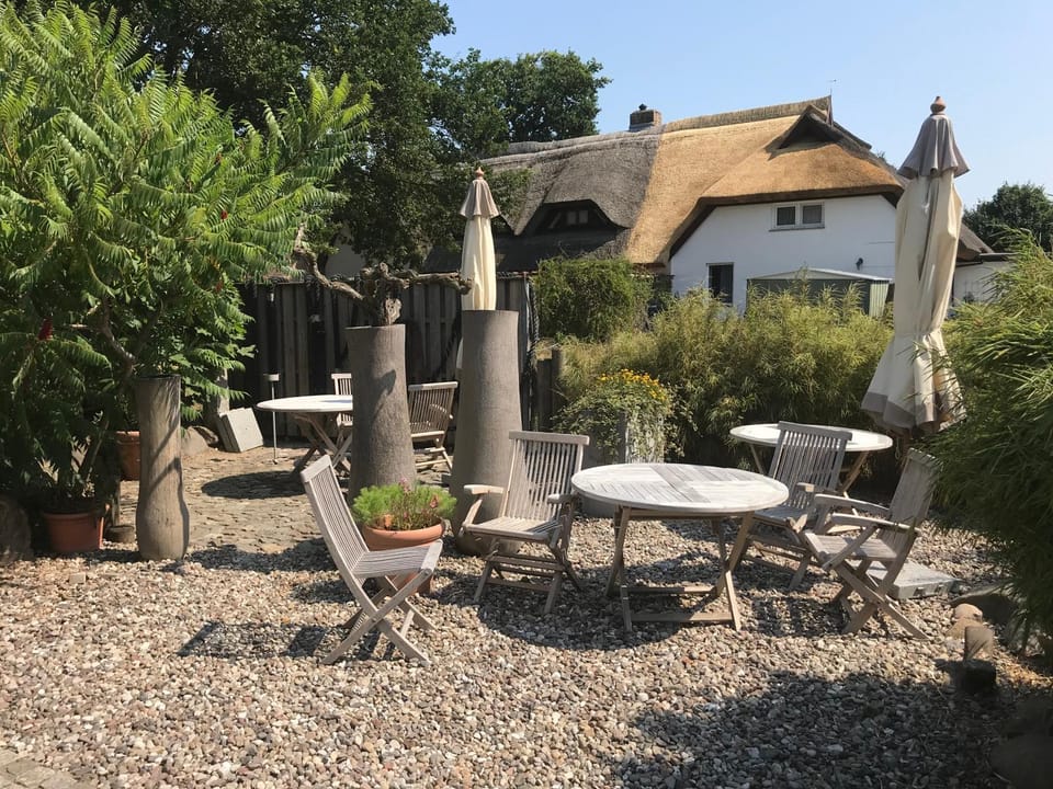 Patio, Garden
