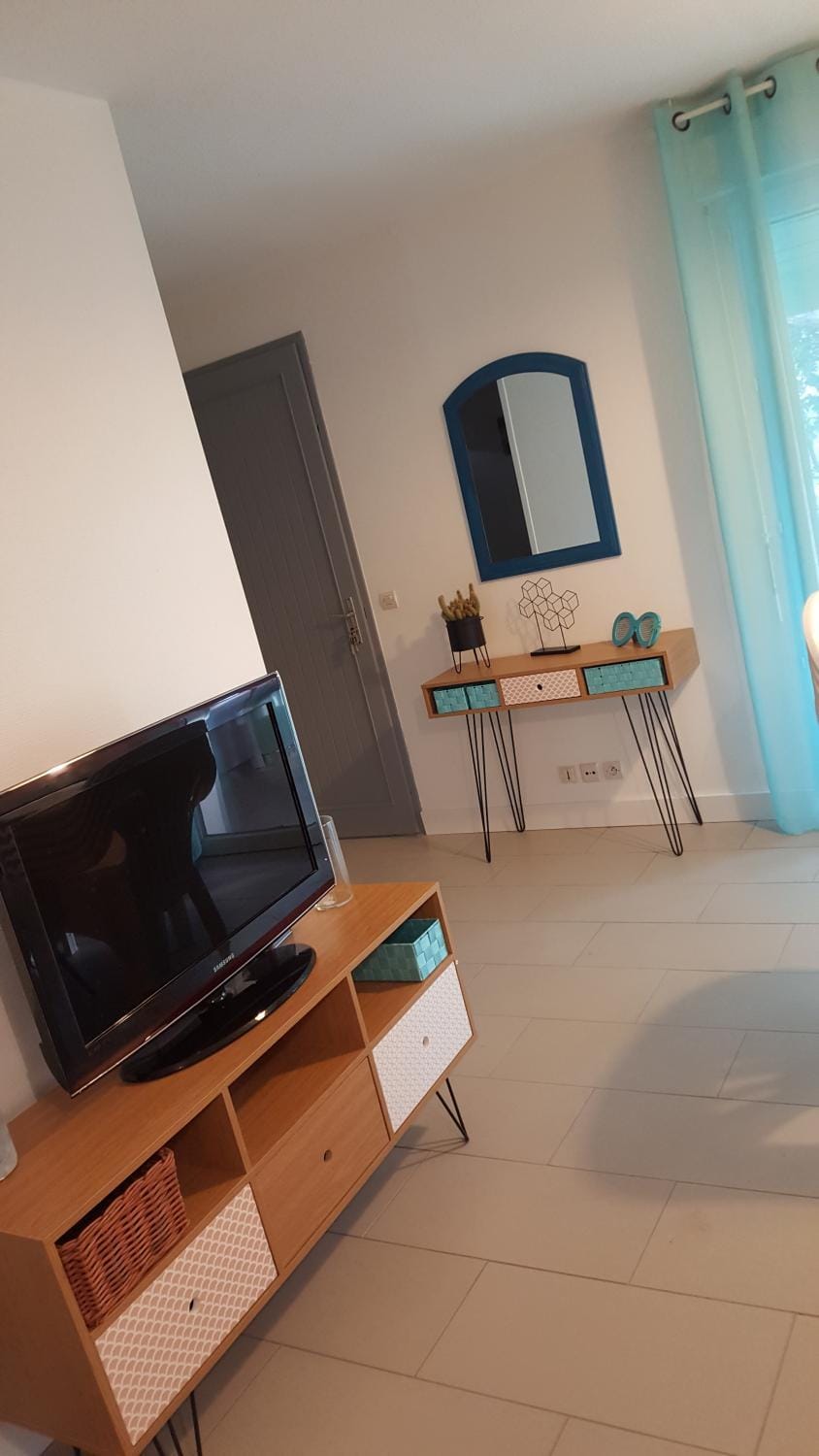 TV and multimedia