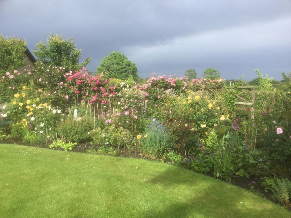 Garden view