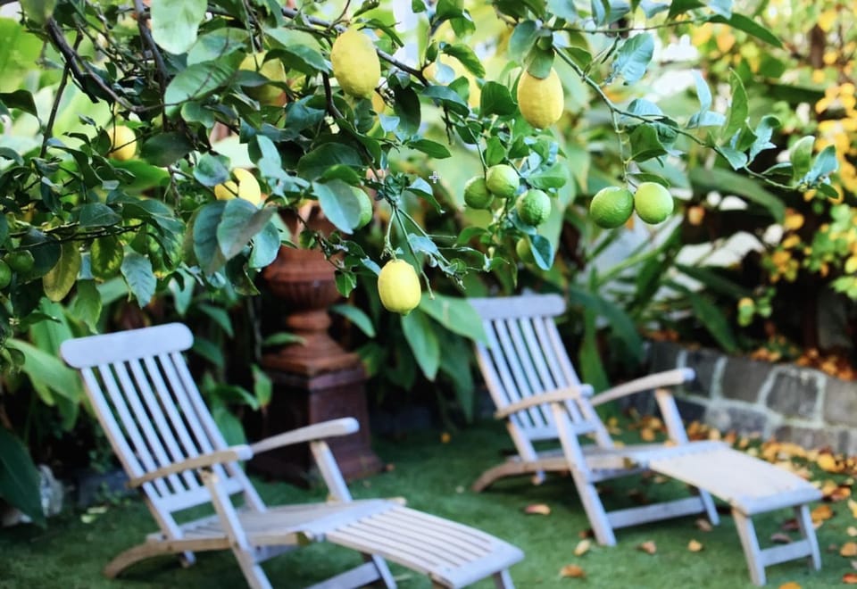 Garden, On site