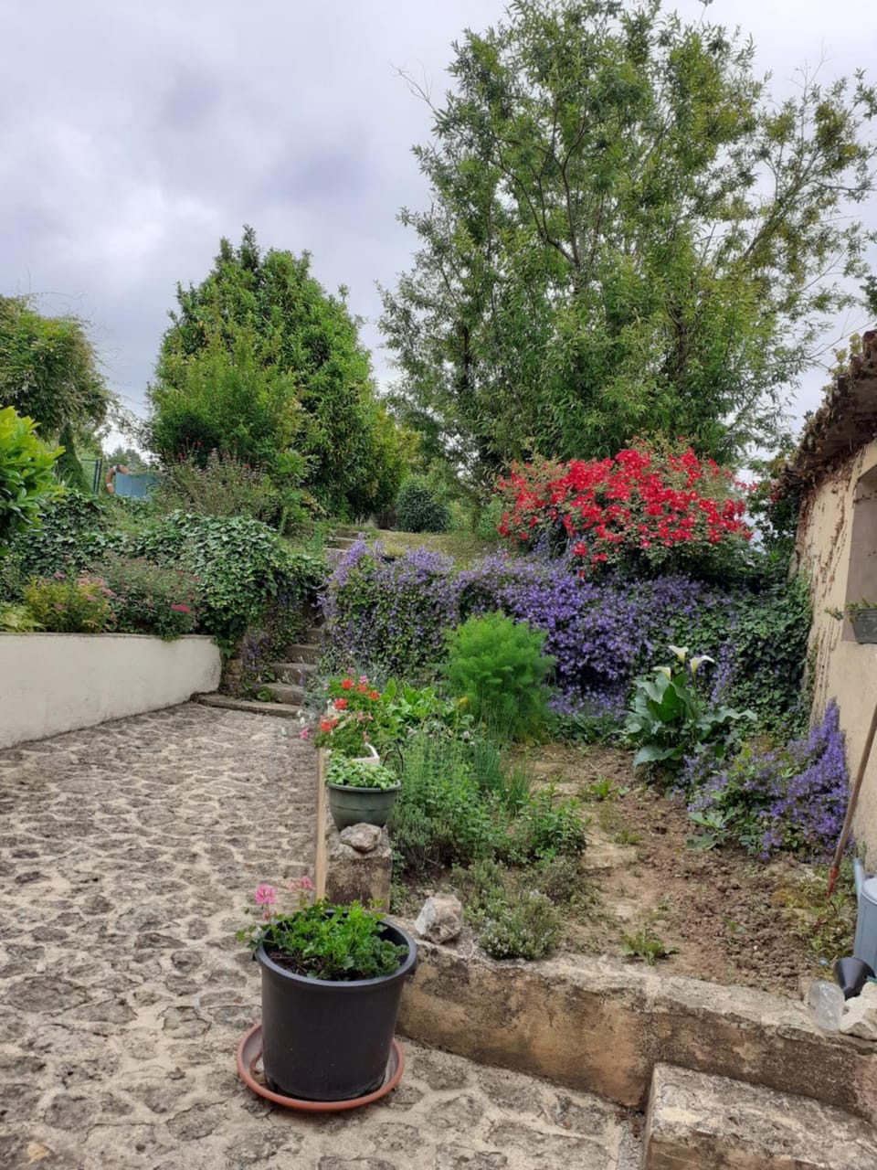 CHAMBRES d'HOTES LE ROUSSEL Bed and Breakfast in Occitanie