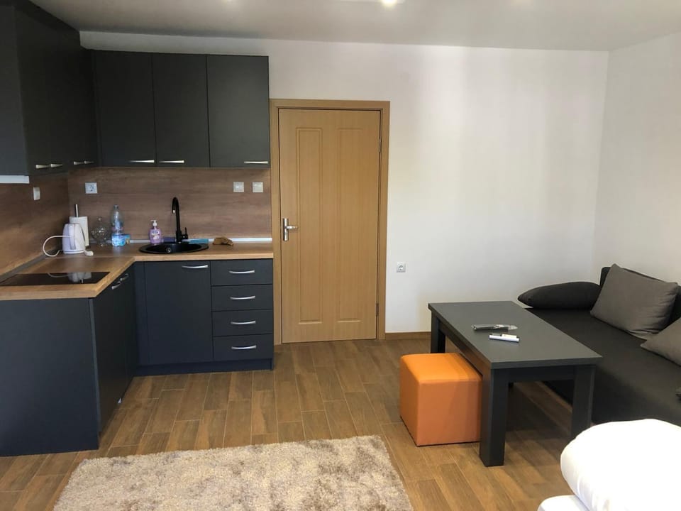 Студиа КРИСИ Apartment in Blagoevgrad Province
