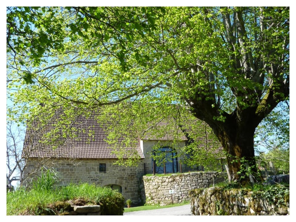 A L'Ombre du Tilleul Bed and Breakfast in Occitanie