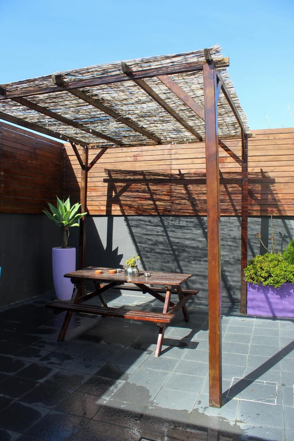 Patio, Garden, Dining area
