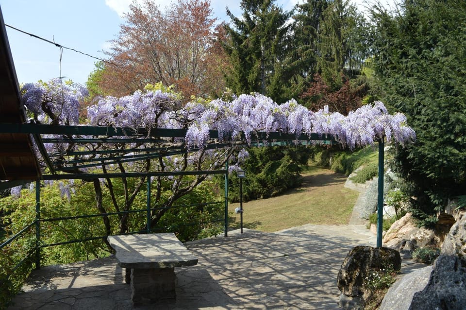 Patio, Garden, Garden view