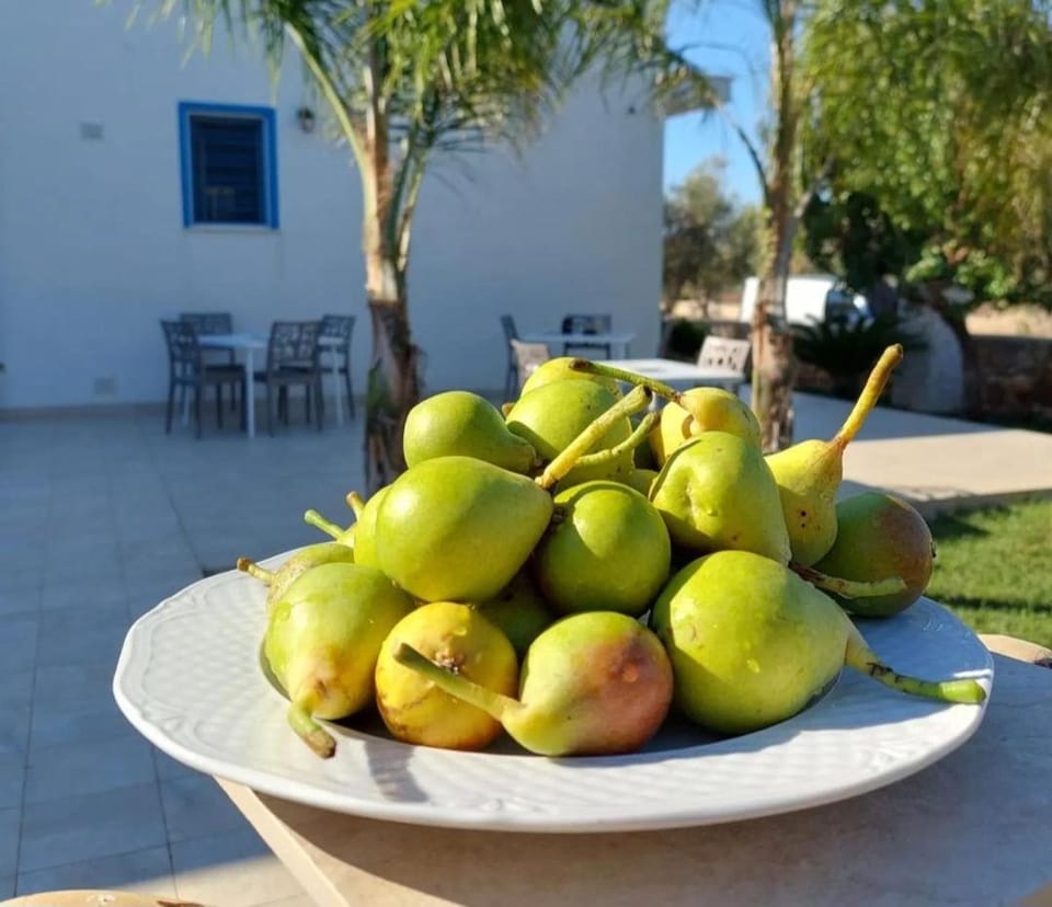 A CASA DI GIUSEPPE Bed and Breakfast in Apulia